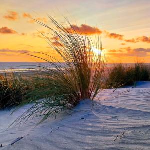 Norderney