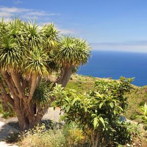 La Palma